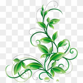 Floral Green Leaves And Water Droplets Png Clipart - Green Flowers Png, Transparent Png - water droplets png