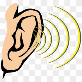 Cartoon Ear Png - Sense Of Hearing Clipart, Transparent Png - ear png
