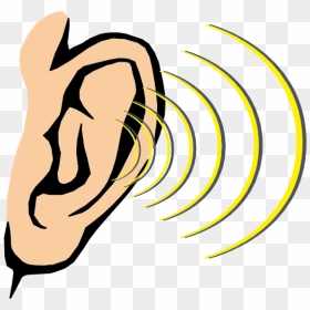 Cartoon Ear Png - Sense Of Hearing Clipart, Transparent Png - vhv