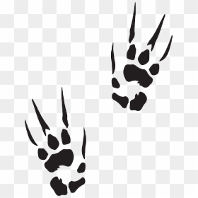 Marks, Animal, Claw, Tracks, Prints, Trail, Print, - Bearded Dragon Footprint, HD Png Download - claw marks png