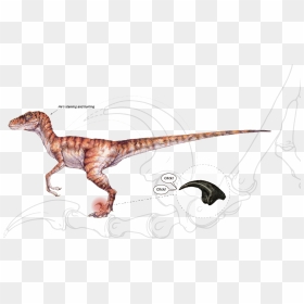 Jurassic Park Velociraptor Concept Art, HD Png Download - velociraptor png