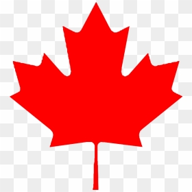Leaf,maple Leaf,tree,red,woody Plant,plant,plane,black - Canada Flag, HD Png Download - maple leaf png