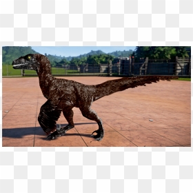 Velociraptor Png, Transparent Png - velociraptor png