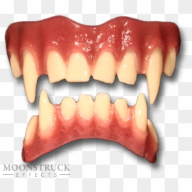 Werewolf Fangs Png - Macro Photography, Transparent Png - fangs png