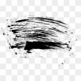 Black Scratch Png, Transparent Png - claw marks png