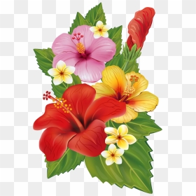 Vector Free Hummingbird Clipart Hibiscus - Transparent Background Tropical Flowers Png, Png Download - tropical png