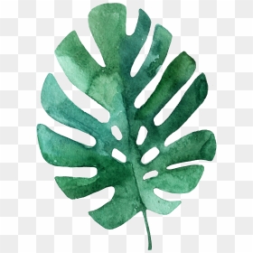 Tropical Leaves Hand Drawn Png , Png Download - Easy Tropical Leaf Drawing, Transparent Png - tropical leaves png