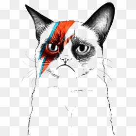 Grumpy Cat Musician Artist - Transparent Grumpy Cat, HD Png Download - grumpy cat png