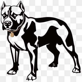American Pit Bull Terrier - American Pit Bull Terrier Clipart, HD Png Download - pitbull png