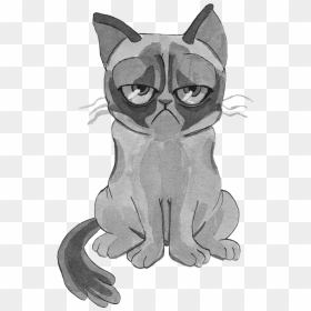 Grumpy Cat Png , Png Download - Cartoon, Transparent Png - grumpy cat png