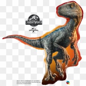 Picture 2 Of - Jurassic World Foil Balloon, HD Png Download - velociraptor png