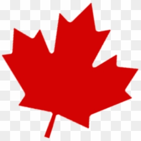 Transparent Canada Maple Leaf Clipart - Canadian Maple Leaf Png, Png Download - maple leaf png