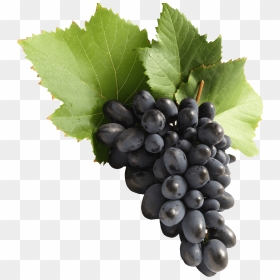 Grape Png, Transparent Png - grape png