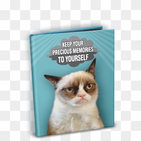 Thai, HD Png Download - grumpy cat png