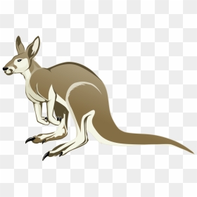 Transparent Kangaroo Clipart, HD Png Download - scary png