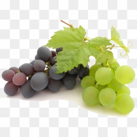 Grape Png File - Grapes Transparent Png, Png Download - grape png