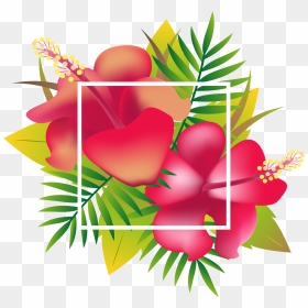 Header Floral Design Tropics - Tropical Flower Background Png, Transparent Png - tropical leaves png