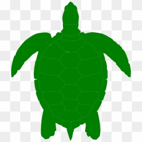 Free Printable Turtles Coloring, HD Png Download - sea turtle png