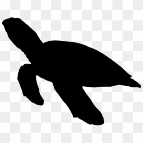 Seas Ilhouette Sea - Clipart Sea Turtle Silhouette, HD Png Download - sea turtle png