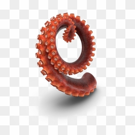 Octopus Tentacles Png Hd - Tentacles Png, Transparent Png - tentacle png