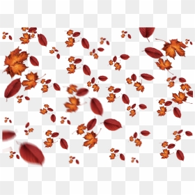 Falling Leaves Autumn Texture Overlay - Autumn Leaves For Photoshop, HD Png Download - falling leaves png