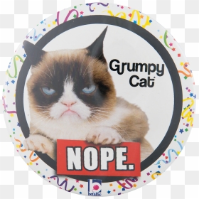 Grumpy Cat Social Lubricators Button Museum - Grumpy Cat Birthday Balloon, HD Png Download - grumpy cat png
