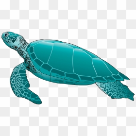 Sea Turtle Clipart - Green Sea Turtle Png, Transparent Png - sea turtle png