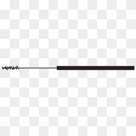 Winc-wand - Cylinder, HD Png Download - wand png