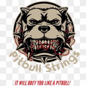 Pitbull Strings, HD Png Download - pitbull png