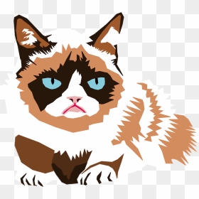 Grumpy Cat Clipart - Daily Meme Calendar 2020, HD Png Download - grumpy cat png