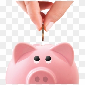 Connectwide Indian Rupee Shape Money Bank / Piggy Bank - กระปุก ออมสิน น่า รัก, HD Png Download - indian money png