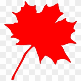Brown Maple Leaf Png Icons - 嘿串串 Hi! Chuan Chuan Steamboat, Transparent Png - maple leaf png