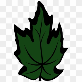 Clip Art, HD Png Download - maple leaf png