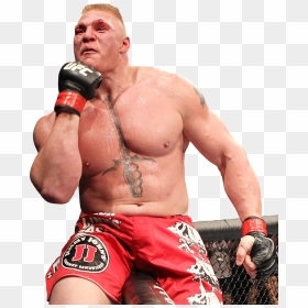 Brock Lesnar Ufc - Brock Lesnar Mma, HD Png Download - brock lesnar png