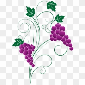 Amazing Grape Clipart Png Image X Grape Png Transparent - Clipart Grape Transparent Png, Png Download - grape png