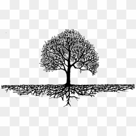 Roots & Branches - Black And White Tree With Roots, HD Png Download - tree roots png