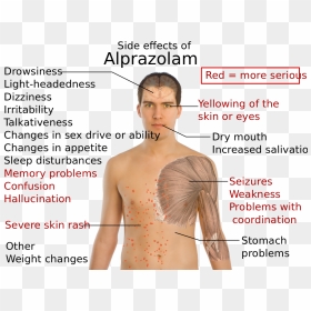 Side Effects Of Alprazolam - Que Hace El Alprazolam, HD Png Download - xanax png