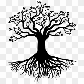 Root Tree Stock Photography Gratis - Tree With Roots Drawing Png, Transparent Png - tree roots png