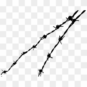 Wire - Clip Art Barb Wire, HD Png Download - wire png