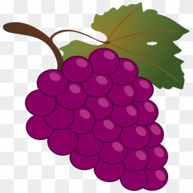 Grape Clip Arts - Grapes Clipart, HD Png Download - grape png