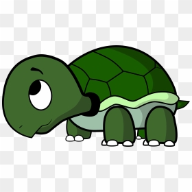 Cartoon Turtle Png - Sad Turtle Clipart, Transparent Png - sea turtle png