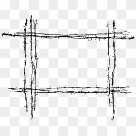 Barbed Wire Png - Transparent Background Barbed Wire Png, Png Download - wire png