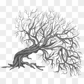 Tree And Roots Clipart Vector Freeuse Winter Trees - Black And White Paintings Tripy Tree, HD Png Download - tree roots png