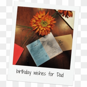 Gerbera, HD Png Download - birthday wishes png