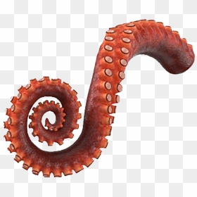 Octopus Tentacle 3d Model, HD Png Download - tentacle png