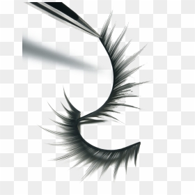 Eyelash Product Photography, HD Png Download - lashes png