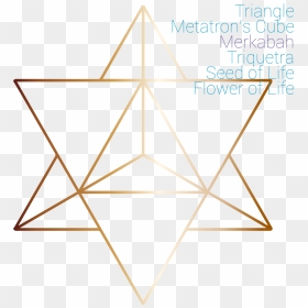 Transparent Metatron Cube Png - Sacred Geometry Merkaba Png, Png Download - sacred geometry png