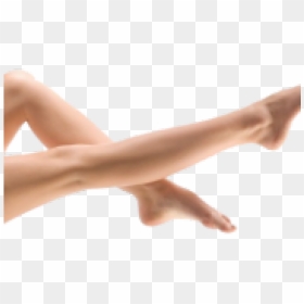 Legs Png Background Image - Legs Transparent, Png Download - legs png