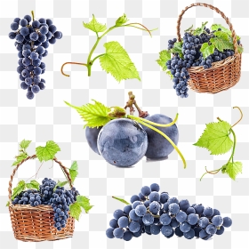 Wine Grape Vine Png, Transparent Png - grape png