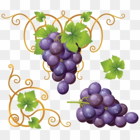 Grape Png Image - Grapes Clipart Png, Transparent Png - grape png